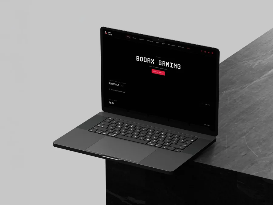 Bodax Gaming project cover image