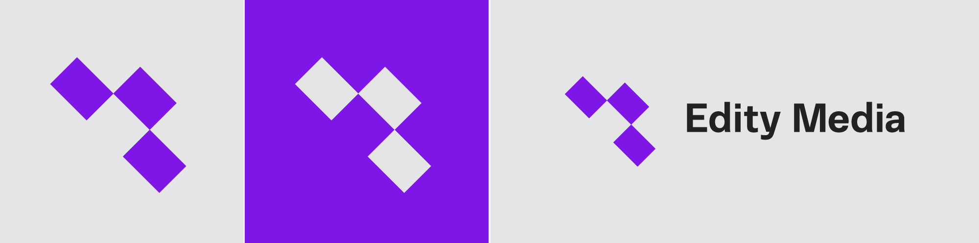 Edity Media branding